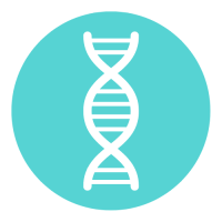 �o���[�{�[���A�J�f�~�[����